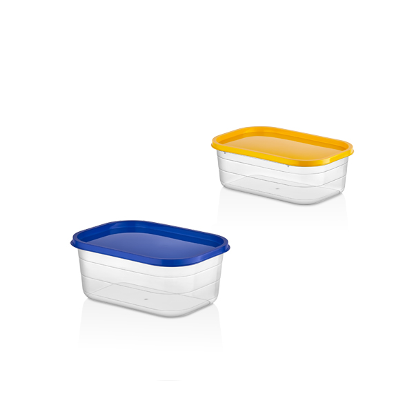 390,600 ML PROBOX RECTANGLE STORAGE BOX MINI SET OF 2