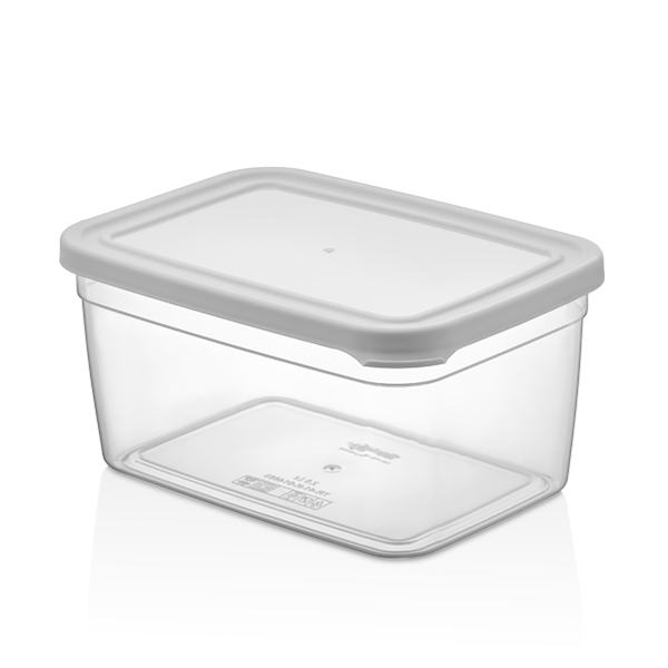 GOLD 2500 ML RECTANGLE STORAGE BOX