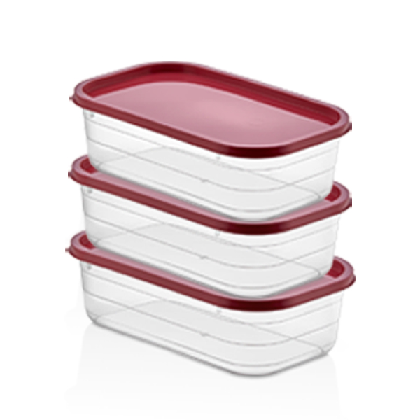 3X2500 ML RECTANGLE PROBOX